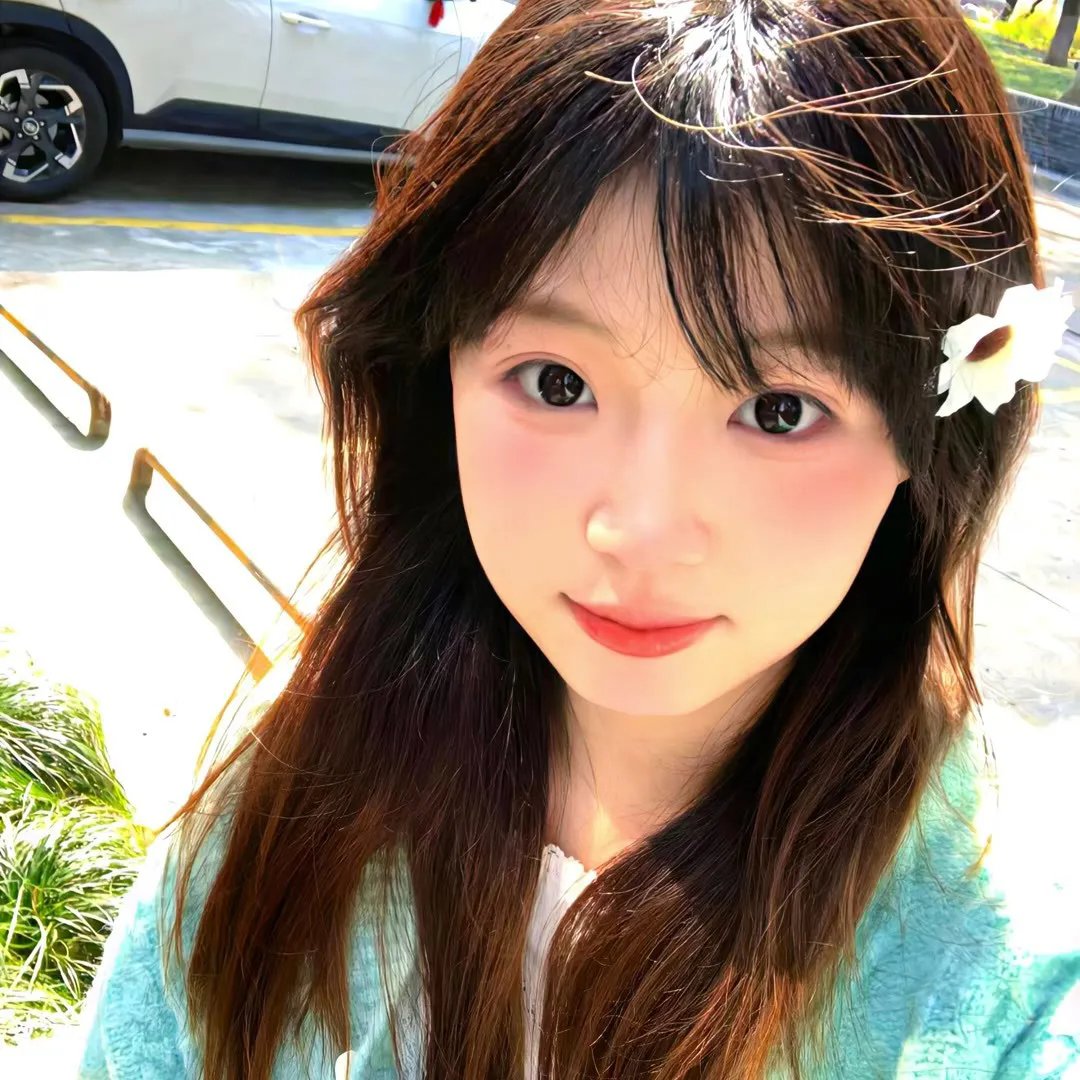 穿越橄榄树林